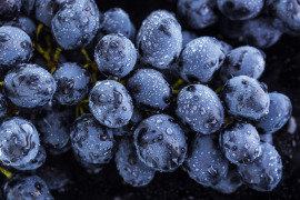 niebieskie winogrona