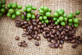 zielona i palona kawa