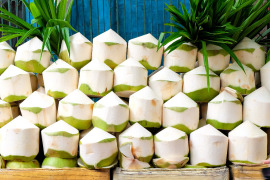 świeże kokosy