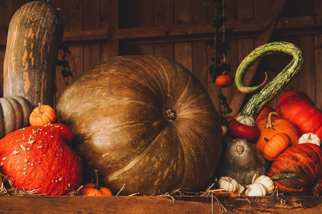 Dynia, jabłko, jarzębina - w walce z jesienią i przeziębieniem