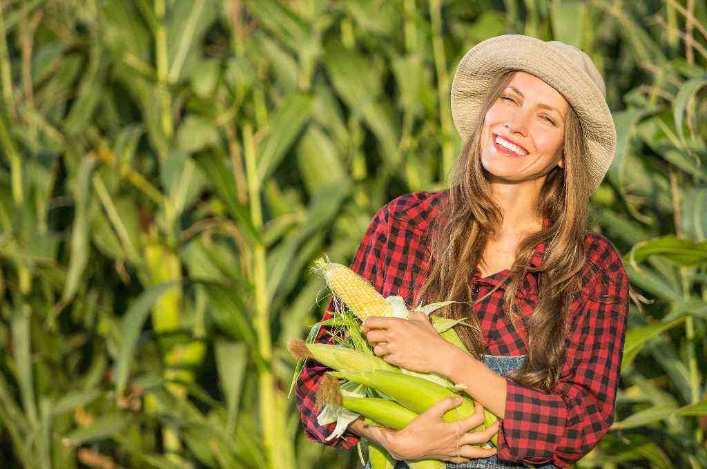 kobieta trzymająca kolby kukurydzy