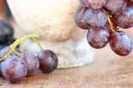 winogrona niebieskie