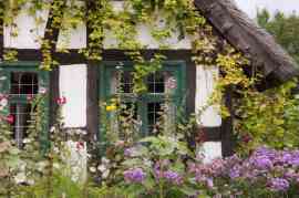 Starodawna chata i kwiaty
