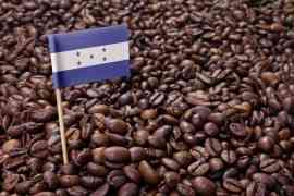 Ziarna kawy i flaga Hondurasu
