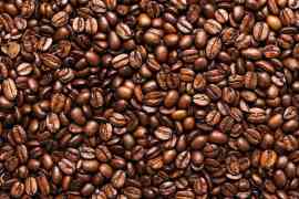 Prażone ziarna kawy
