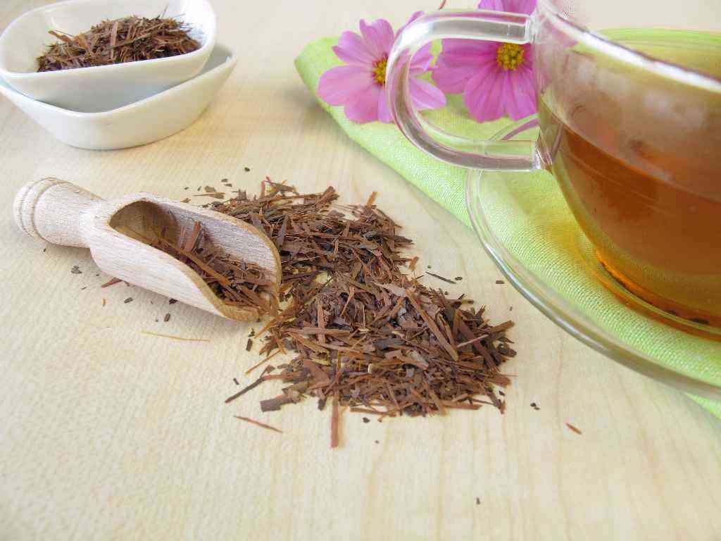 Lapacho - herbata Inków