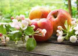 Jabłka i kwiaty