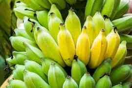 niedojrzałe banany