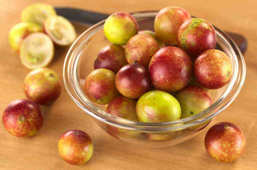 Właściwości zdrowotne owoców Camu Camu