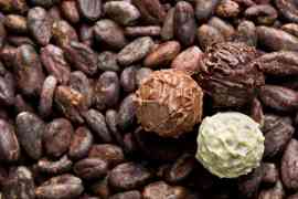 Pralinki i ziarna kakaowca