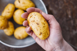 ziemniaki w wiaderku i na dłoni