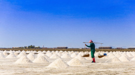 zbieranie soli