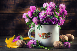 kubek kwiatów i orzechy włoskie