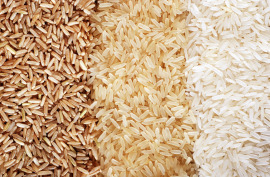 rodzaje ryżu