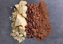biała czekolada kakao i nasiona kakaowca