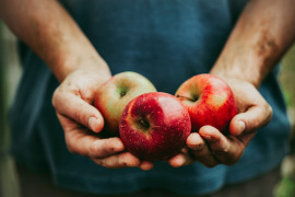 dłonie jabłek