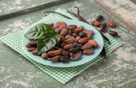 ziarna kakaowca na miętowym talerzyku