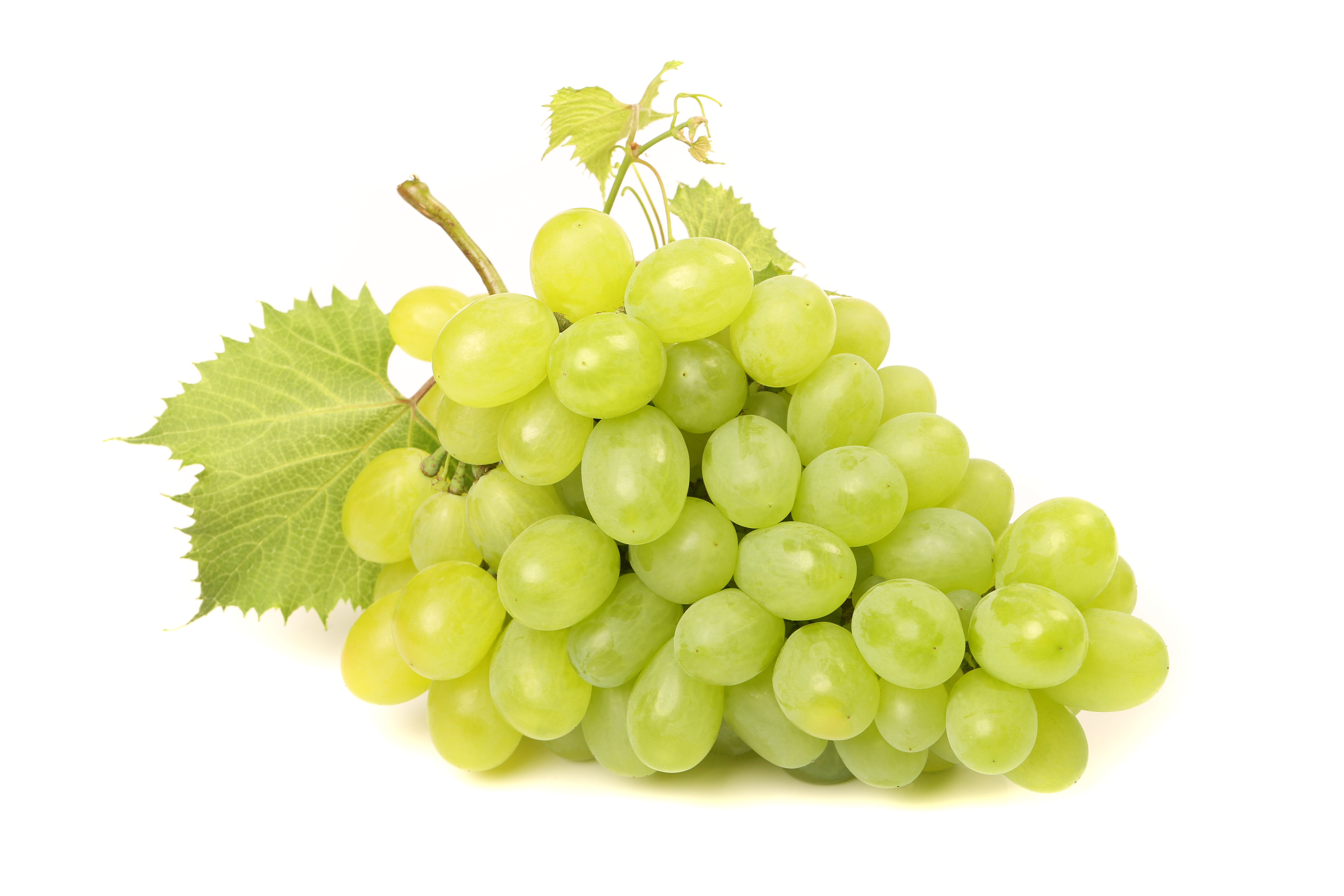 Winogrona białe tacka 1 kg