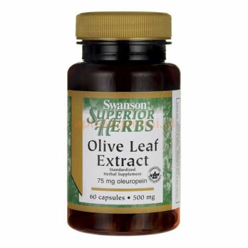 Liść oliwny ekstrakt 500mg Olive Leaf Extract 60 kapsułek SWANSON