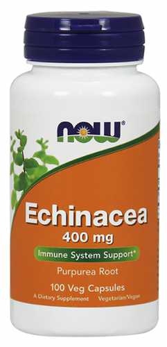 Jeżówka purpurowa korzeń Echinacea 400mg 100 kapsułek NOW FOODS